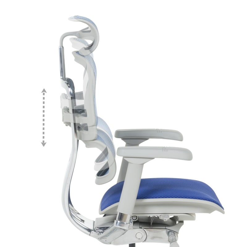 Ергономичен офис стол Ergohuman Elite 2 син-сив